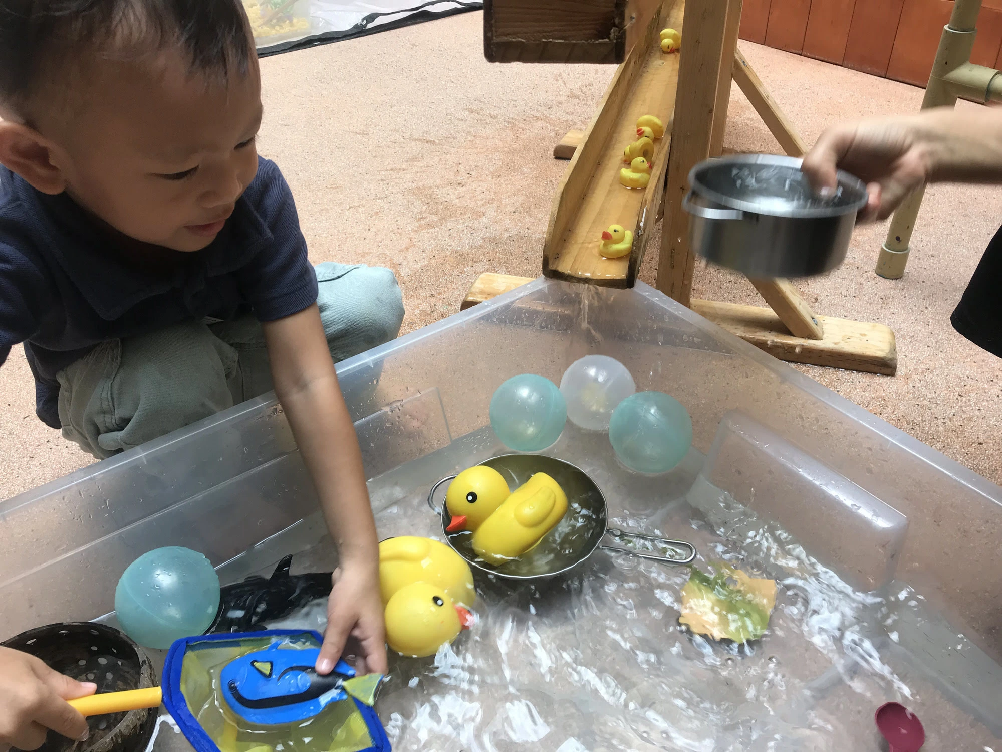 How Kindergarten Builds Social and Emotional Skills in Young Learners